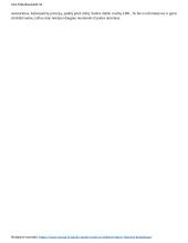 Straipsnio apie Saulės mūšį recenzija 2 puslapis