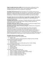 Strateginis planavimas, jo funkcijos ir tikslai 2 puslapis