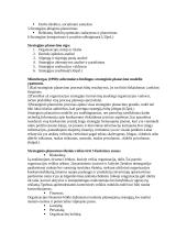 Strateginis planavimas, jo funkcijos ir tikslai 3 puslapis