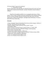 Strateginis planavimas, jo funkcijos ir tikslai 4 puslapis