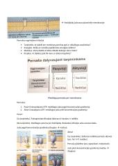 Konspektas: membranos 5 puslapis