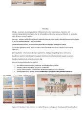 Konspektas: membranos 6 puslapis