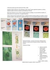 Konspektas: membranos 7 puslapis