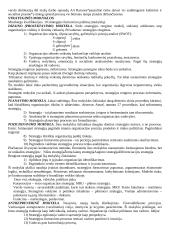 Išsami strateginio valdymo teorija 2 puslapis