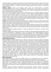 Išsami strateginio valdymo teorija 11 puslapis