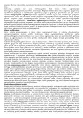 Išsami strateginio valdymo teorija 12 puslapis