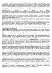 Išsami strateginio valdymo teorija 14 puslapis