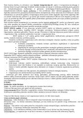 Išsami strateginio valdymo teorija 15 puslapis