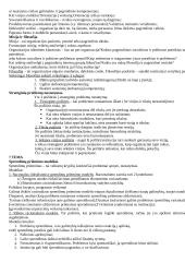 Išsami strateginio valdymo teorija 16 puslapis