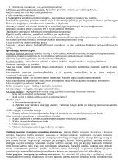 Išsami strateginio valdymo teorija 17 puslapis