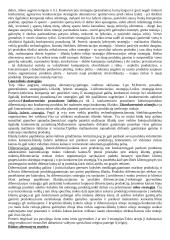 Išsami strateginio valdymo teorija 18 puslapis