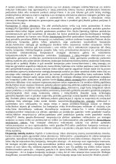 Išsami strateginio valdymo teorija 19 puslapis