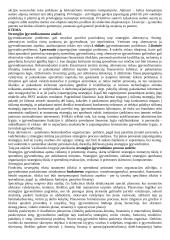 Išsami strateginio valdymo teorija 20 puslapis