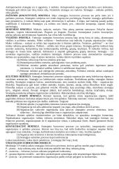 Išsami strateginio valdymo teorija 3 puslapis