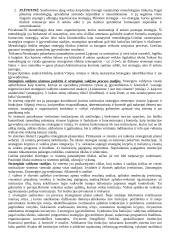 Išsami strateginio valdymo teorija 5 puslapis