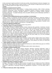 Išsami strateginio valdymo teorija 6 puslapis