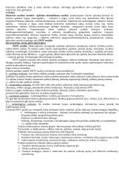 Išsami strateginio valdymo teorija 7 puslapis