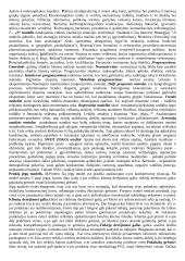 Išsami strateginio valdymo teorija 8 puslapis