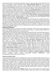 Išsami strateginio valdymo teorija 9 puslapis