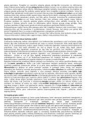 Išsami strateginio valdymo teorija 10 puslapis