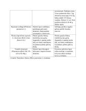 Šluotelinio fliokso dažniausiai pasitaikančios ligos, kenkėjai ir apsaugos nuo jų metodai 15 puslapis