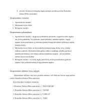 Šluotelinio fliokso dažniausiai pasitaikančios ligos, kenkėjai ir apsaugos nuo jų metodai 4 puslapis