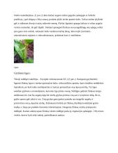 Šluotelinio fliokso dažniausiai pasitaikančios ligos, kenkėjai ir apsaugos nuo jų metodai 8 puslapis