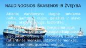 Skaidrės apie Atlanto vandenyną 10 puslapis