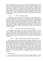 Platono sielos samprata 4 puslapis