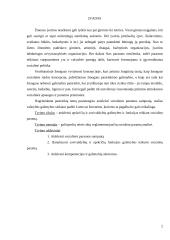 Socialinė parama kursinis darbas 2 puslapis