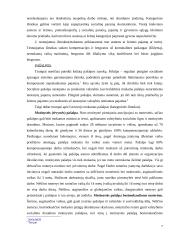 Socialinė parama kursinis darbas 7 puslapis