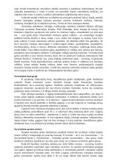 Suvereniteto sąvokos problema 4 puslapis