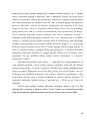 Politinių sistemų lyginimas: Lietuva ir Baltarusija 10 puslapis