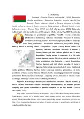 Politinių sistemų lyginimas: Lietuva ir Baltarusija 8 puslapis