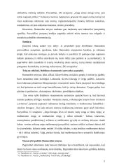 Svarbiausi rašytinės teisės šaltiniai 2 puslapis