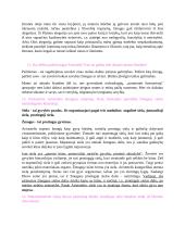 Filosofijos pasiruošimas egzaminui 5 puslapis