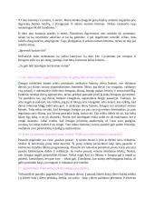 Filosofijos pasiruošimas egzaminui 6 puslapis