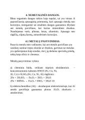 Metalų korozija referatas 10 puslapis