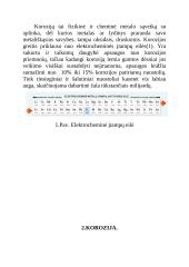 Metalų korozija referatas 2 puslapis