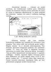 Metalų korozija referatas 6 puslapis