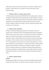 ,,The Modern Art Museum of Fort Worth" muziejaus analizė 3 puslapis