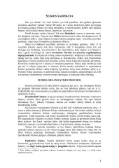 Šeimos samprata