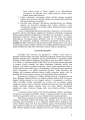 Šeimos samprata 3 puslapis