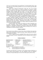 Šeimos samprata 7 puslapis