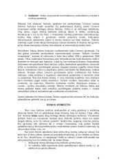 Šeimos samprata 9 puslapis