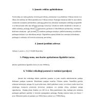 Verslo planas „Verslo drobė“ 2 puslapis