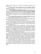 Šeimos sociologijos teorijos 4 puslapis