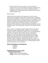 Širdies veikla 2 puslapis