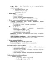 Širdies veikla 3 puslapis