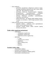 Širdies veikla 4 puslapis